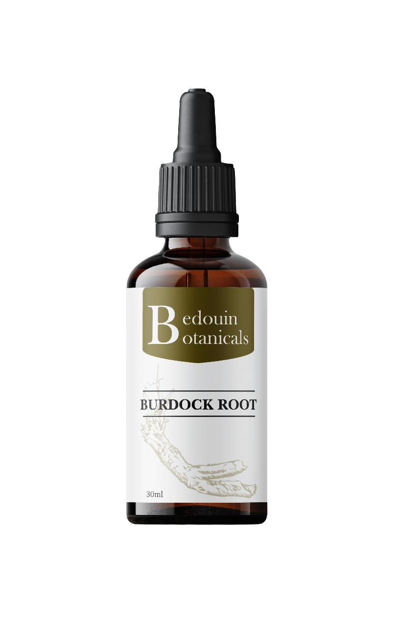 Bedouin Botanicals Burdock Root Tincture – 1:10 Alcohol-Based Extract